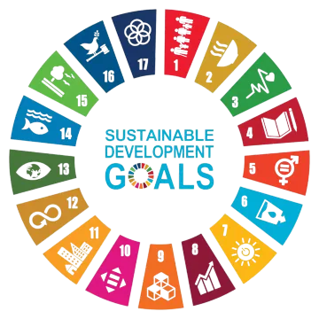 The UN Sustainable Development Goals